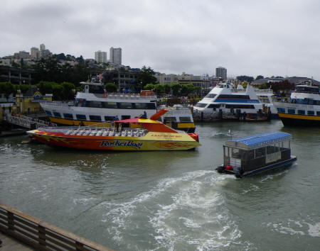 Boat Tours of the San Francisco Bay